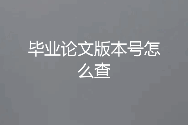 毕业论文版本号怎么查