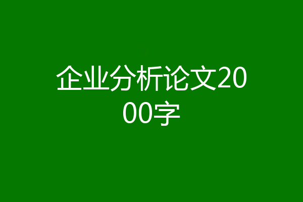 企业分析论文2000字