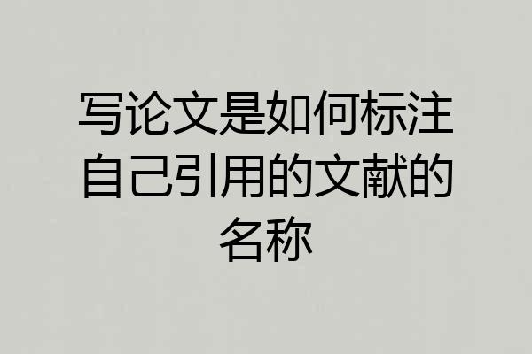 写论文是如何标注自己引用的文献的名称
