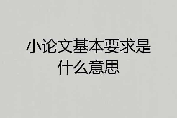 小论文基本要求是什么意思