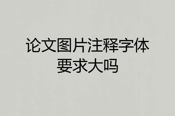 论文图片注释字体要求大吗