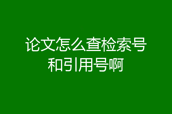 论文怎么查检索号和引用号啊
