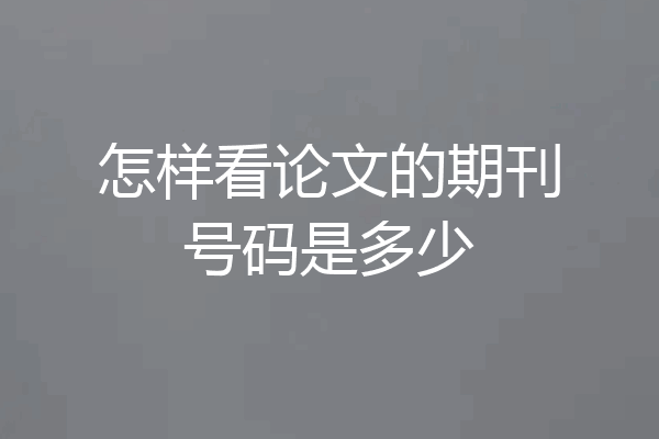 怎样看论文的期刊号码是多少