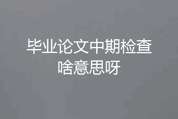 毕业论文中期检查啥意思呀