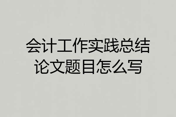 会计工作实践总结论文题目怎么写