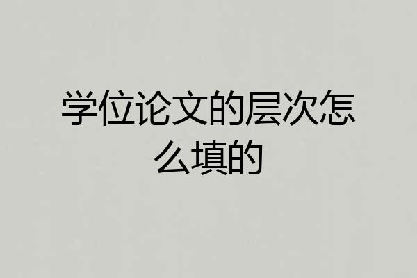 学位论文的层次怎么填的