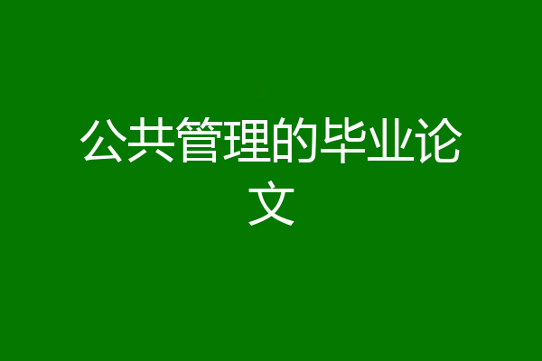 公共管理的毕业论文