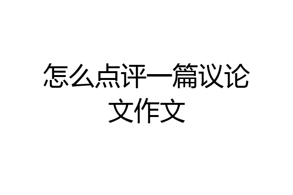 怎么点评一篇议论文作文