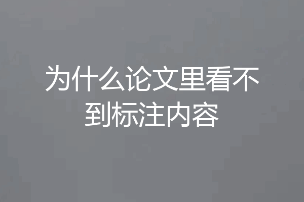 为什么论文里看不到标注内容