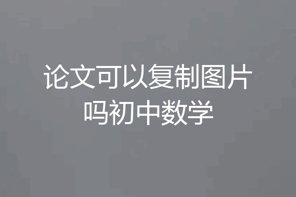 论文可以复制图片吗初中数学