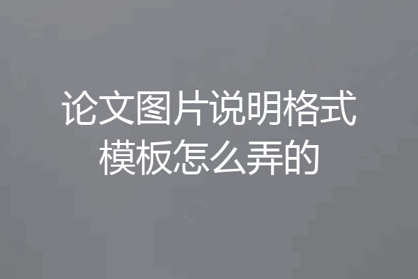 论文图片说明格式模板怎么弄的
