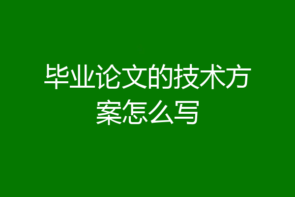 毕业论文的技术方案怎么写