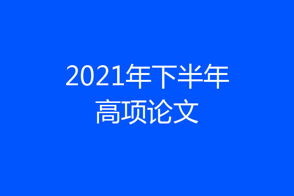 2021年下半年高项论文