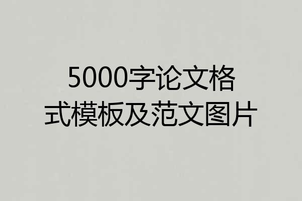 5000字论文格式模板及范文图片
