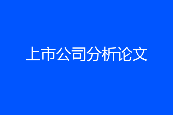 上市公司分析论文