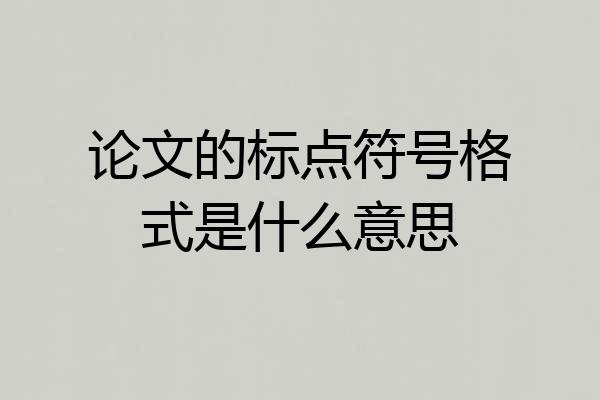 论文的标点符号格式是什么意思