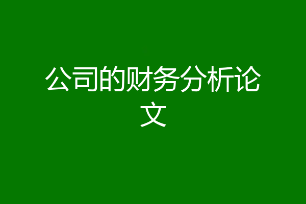 公司的财务分析论文