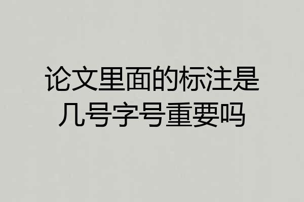 论文里面的标注是几号字号重要吗
