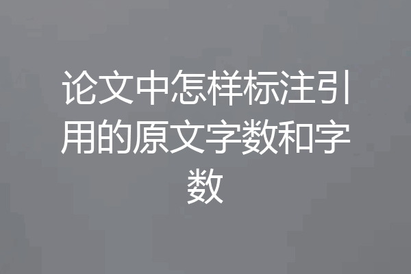 论文中怎样标注引用的原文字数和字数