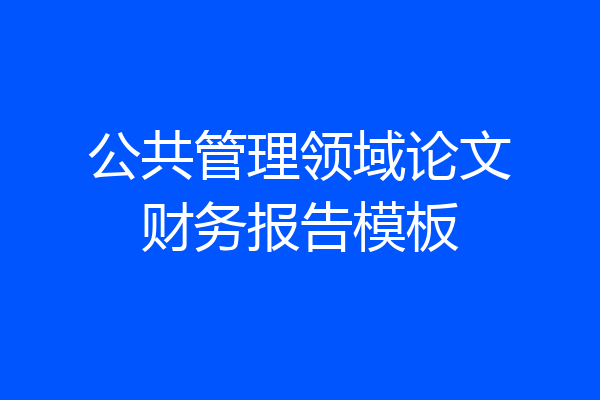 公共管理领域论文财务报告模板
