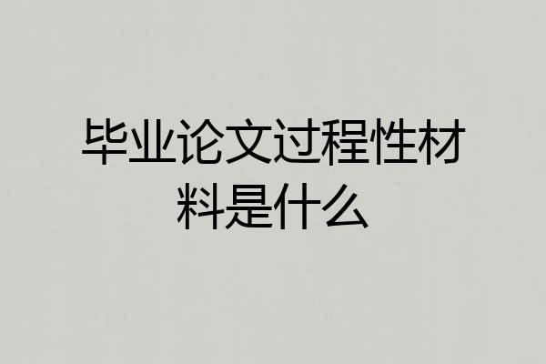 毕业论文过程性材料是什么