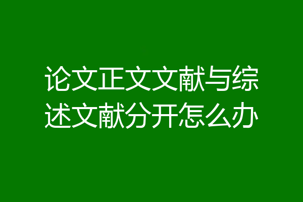论文正文文献与综述文献分开怎么办