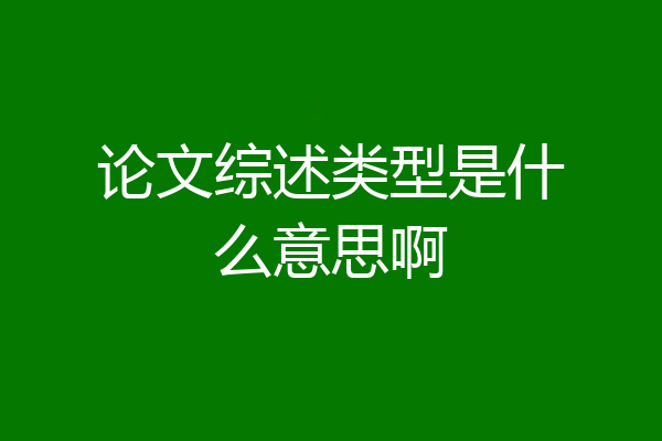 论文综述类型是什么意思啊