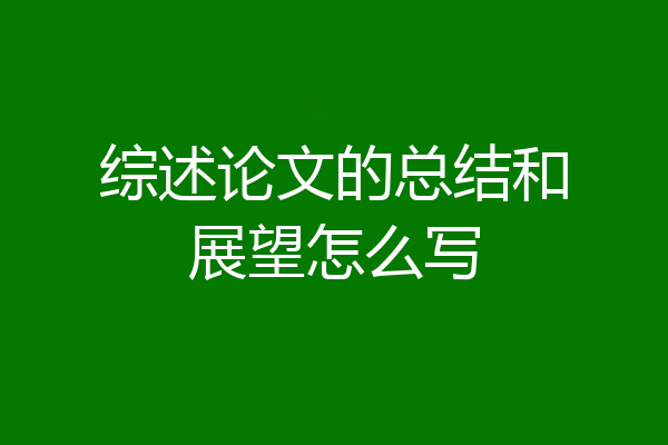 综述论文的总结和展望怎么写