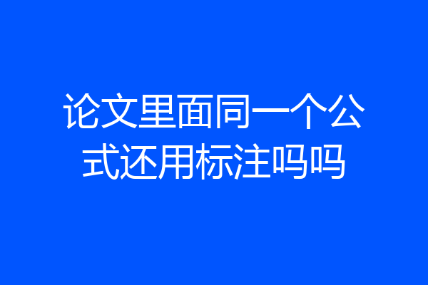 论文里面同一个公式还用标注吗吗