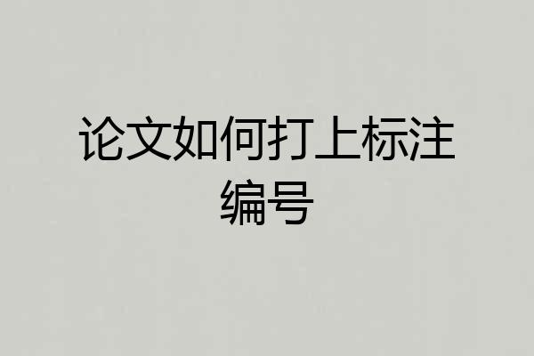 论文如何打上标注编号