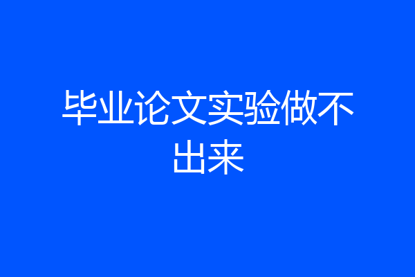 毕业论文实验做不出来