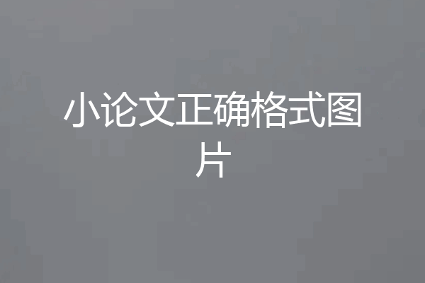 小论文正确格式图片