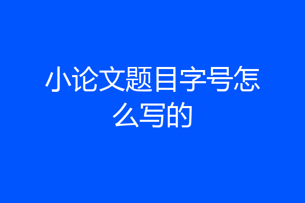 小论文题目字号怎么写的