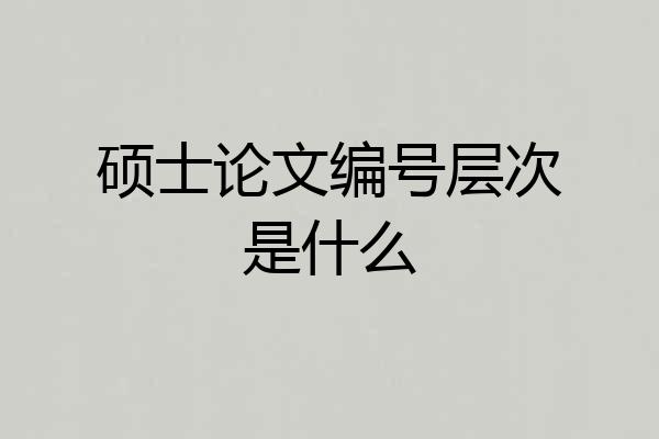 硕士论文编号层次是什么
