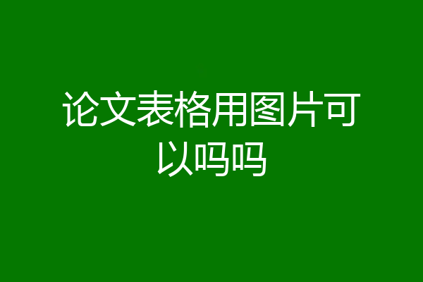 论文表格用图片可以吗吗