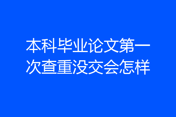 本科毕业论文第一次查重没交会怎样