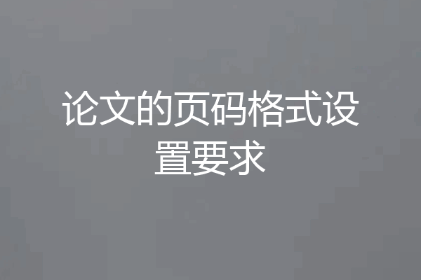 论文的页码格式设置要求
