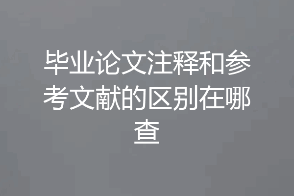 毕业论文注释和参考文献的区别在哪查