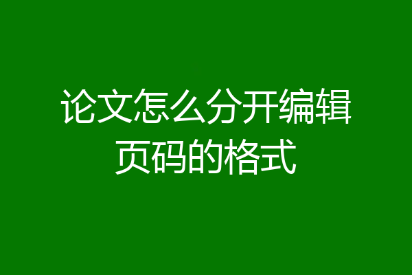 论文怎么分开编辑页码的格式