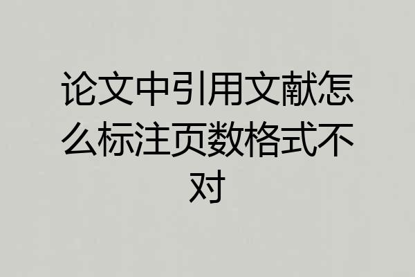 论文中引用文献怎么标注页数格式不对