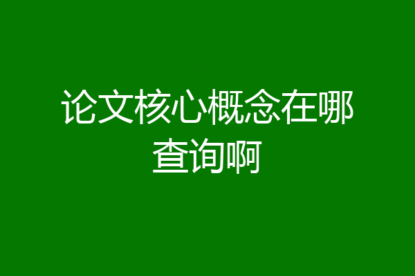 论文核心概念在哪查询啊