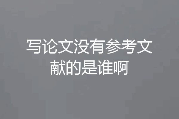 写论文没有参考文献的是谁啊