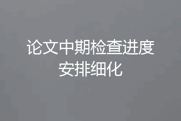 论文中期检查进度安排细化