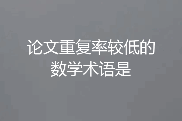 论文重复率较低的数学术语是