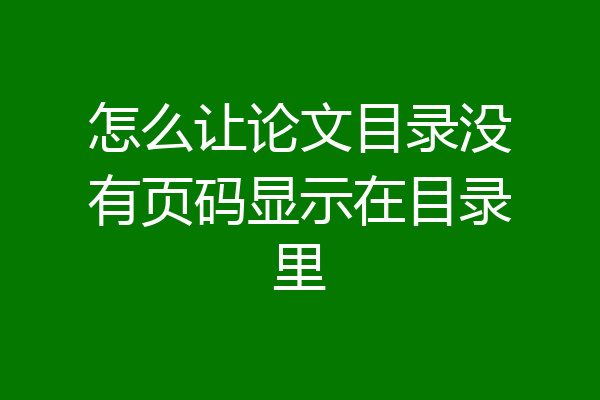 怎么让论文目录没有页码显示在目录里