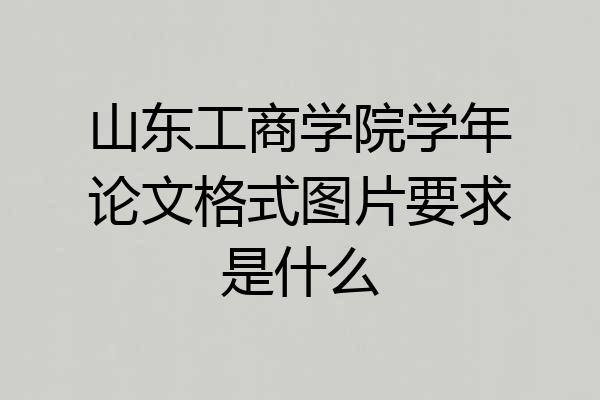 山东工商学院学年论文格式图片要求是什么
