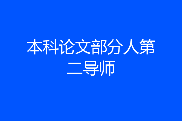 本科论文部分人第二导师