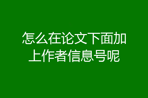 怎么在论文下面加上作者信息号呢