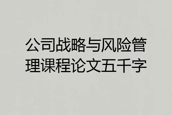 公司战略与风险管理课程论文五千字