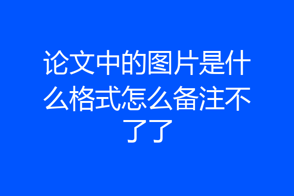 论文中的图片是什么格式怎么备注不了了